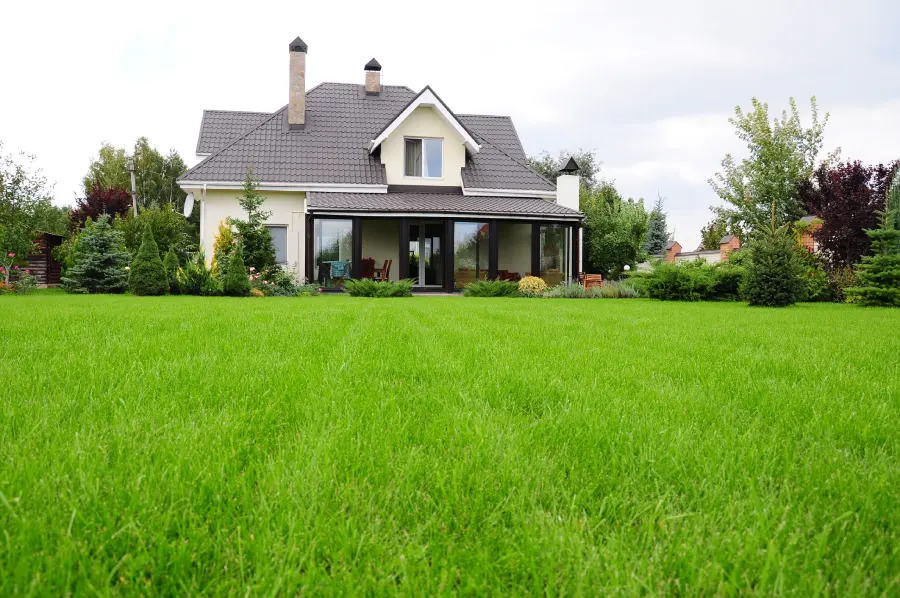 Grass Mowing