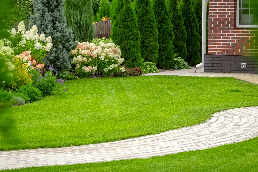Premium Landscaper