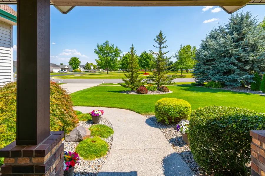 Professional Landscaper