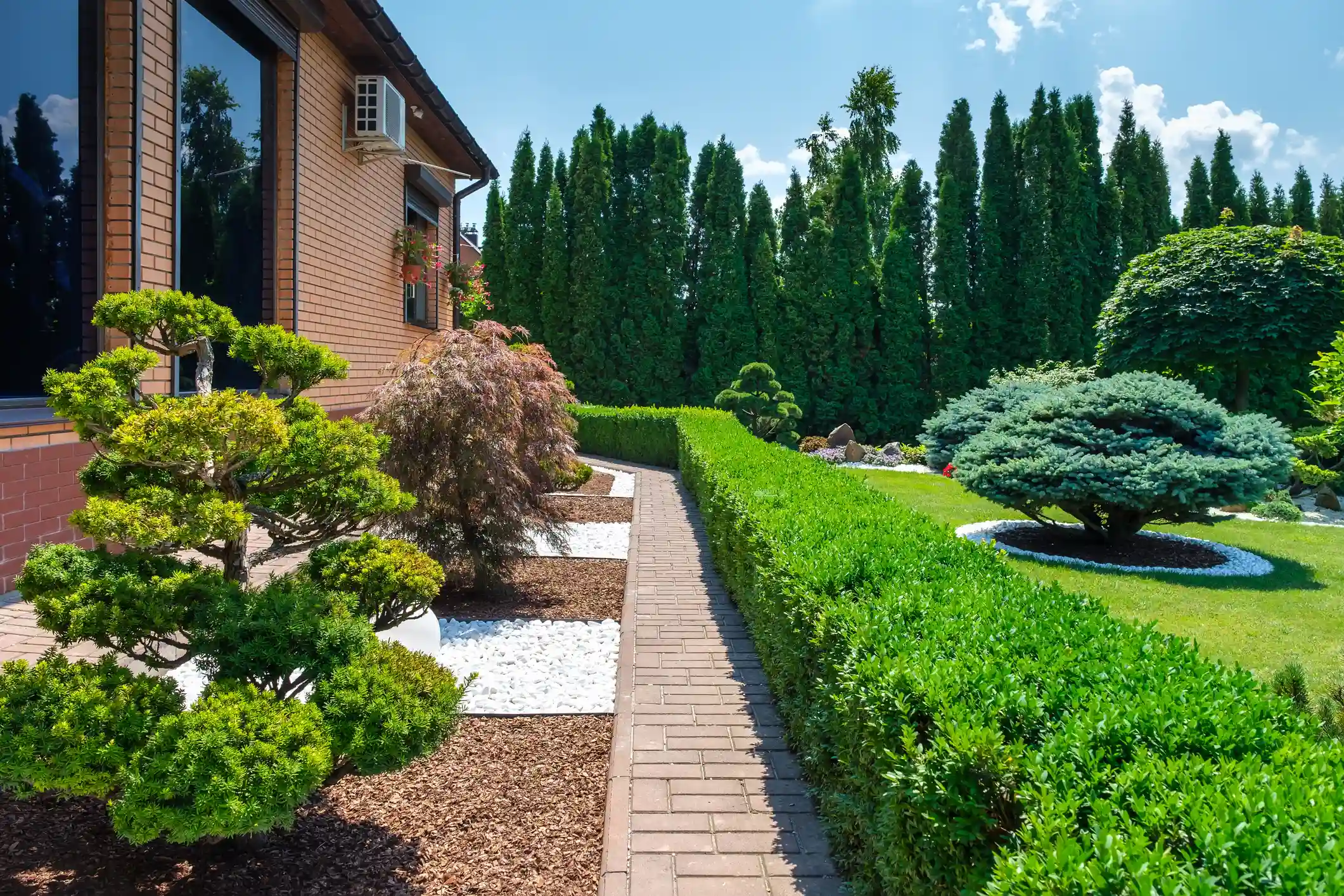 Professional Landscaping Services