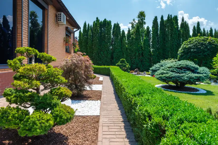 Professional Landscaping Services