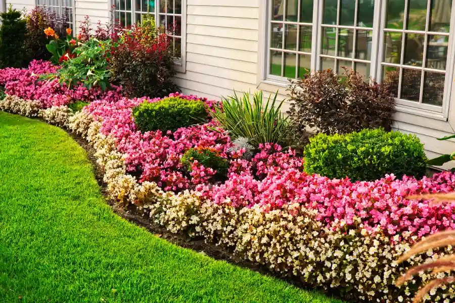 Skilled Landscaping Services
